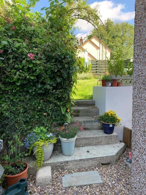 Entire 2 Bed Cottage - Llangwm Llangwm  Dış mekan fotoğraf