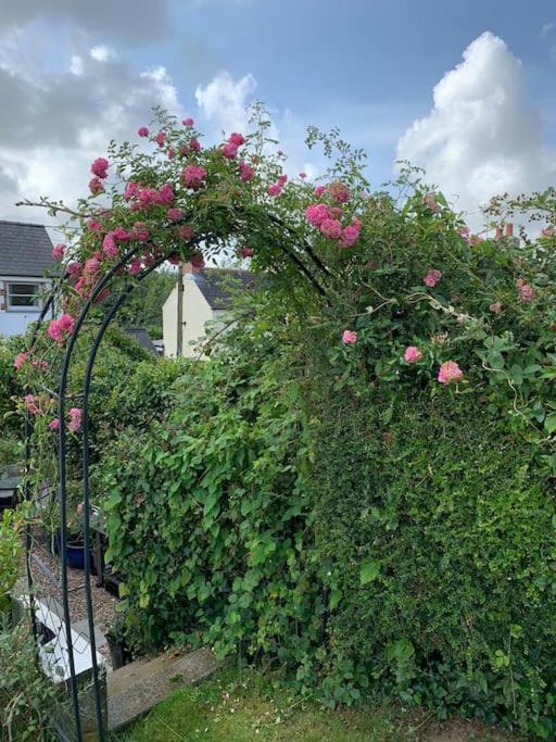 Entire 2 Bed Cottage - Llangwm Llangwm  Dış mekan fotoğraf